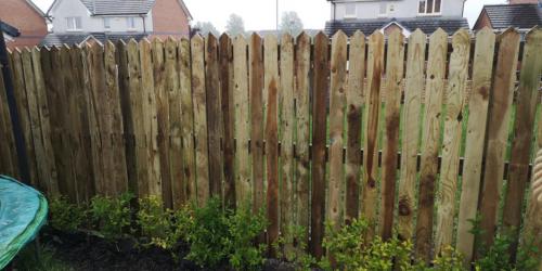 Fencing and Decking Maryhill